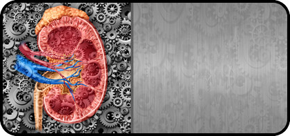 Gear Kidney Gray