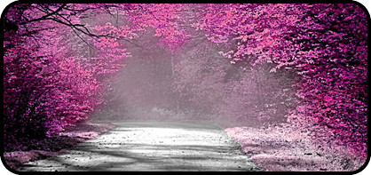 Pop of Pink