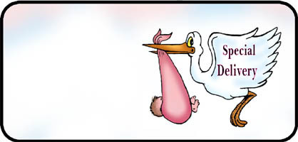 Stork Pink