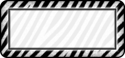 Zebra White