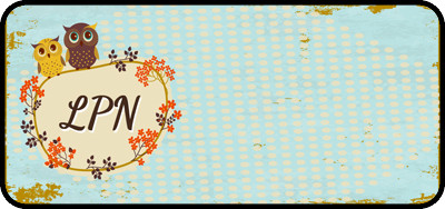 Owl Title ( Various Titles )