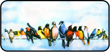 Flock Together