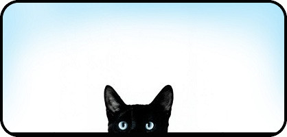 Curiosity