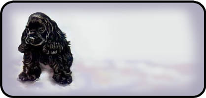 Cocker Black