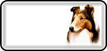 Collie