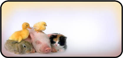 Farm Friends