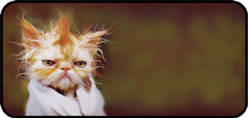 Bad Hair Day