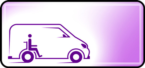 Van Driver Purple