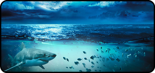 (NEW)Sharkira (fins dont lie)