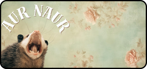 (NEW) Aur Naur