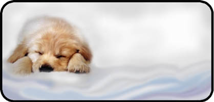 Nap Time