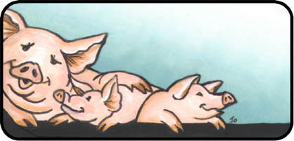 Pigs