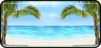 Twin Palms