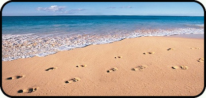 Sandy Feet