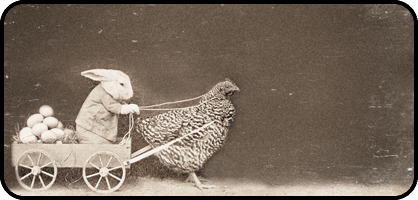 Chicken Chariot
