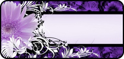 Daisy Banner Purple