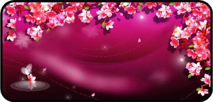 Cherry Blossom
