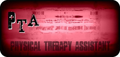 PTA Static (Various Colors)