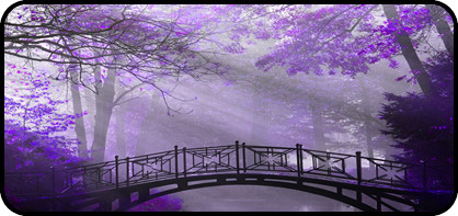Lavender Bridge