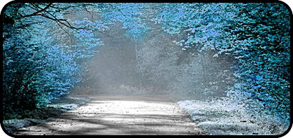 Pop of Blue