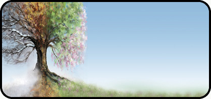 Four Seasons