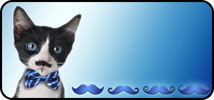 Meow Moustache