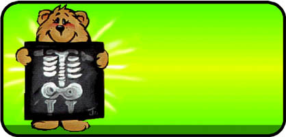 X Ray Bear Green