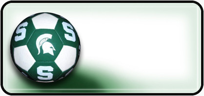 MI State Soccer Ball