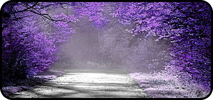Pop of Purple