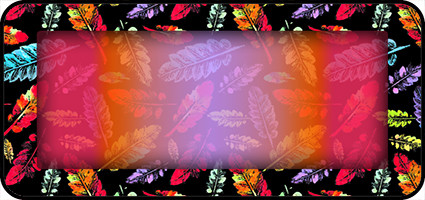 Colorful Feather Border