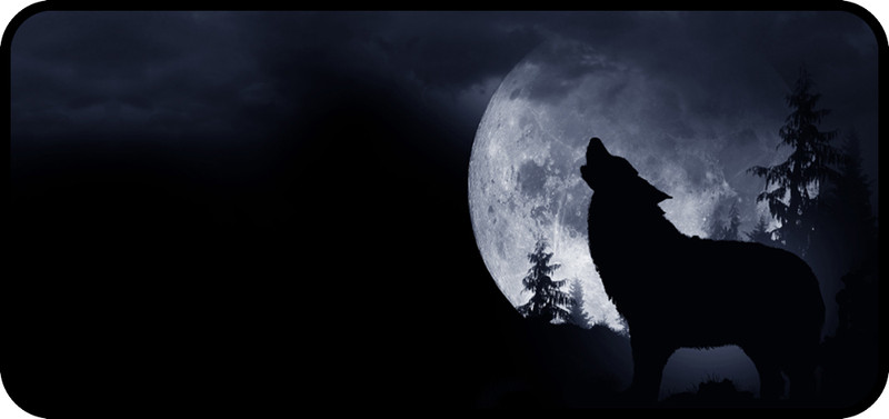 Moon Wolf