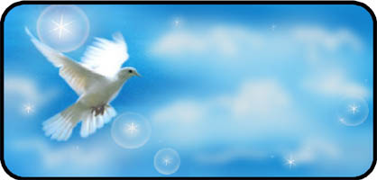 White Dove