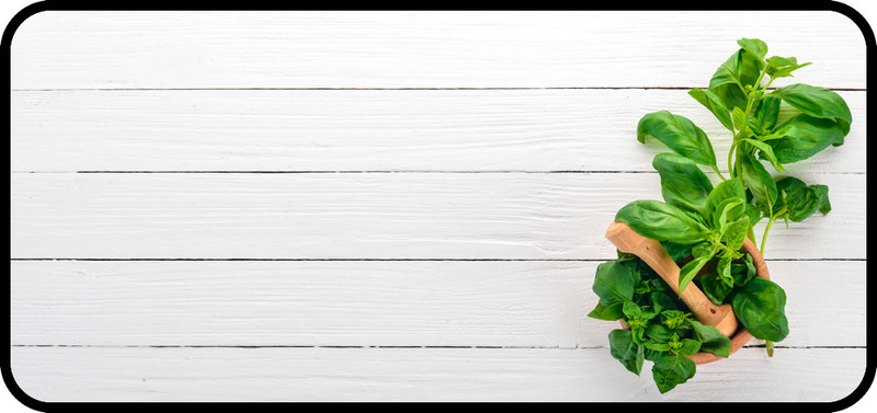Fresh Basil
