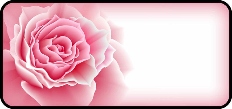 Rose Bloom Pink