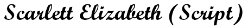script.png