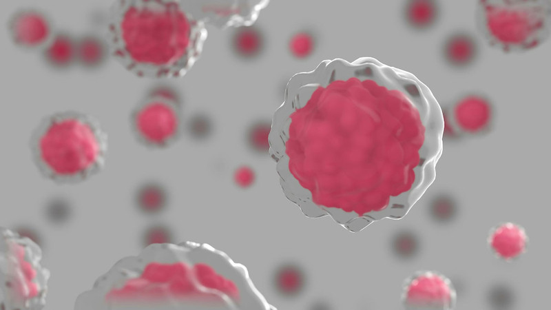 What Is NAD+? Understanding the Molecule Behind Energy, Healthy Aging, and Cellular Wellness