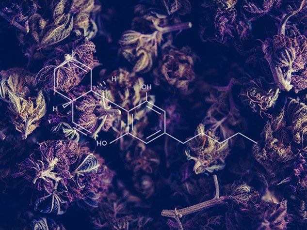 What is CBD (Cannabidiol) and How Does it Help People?