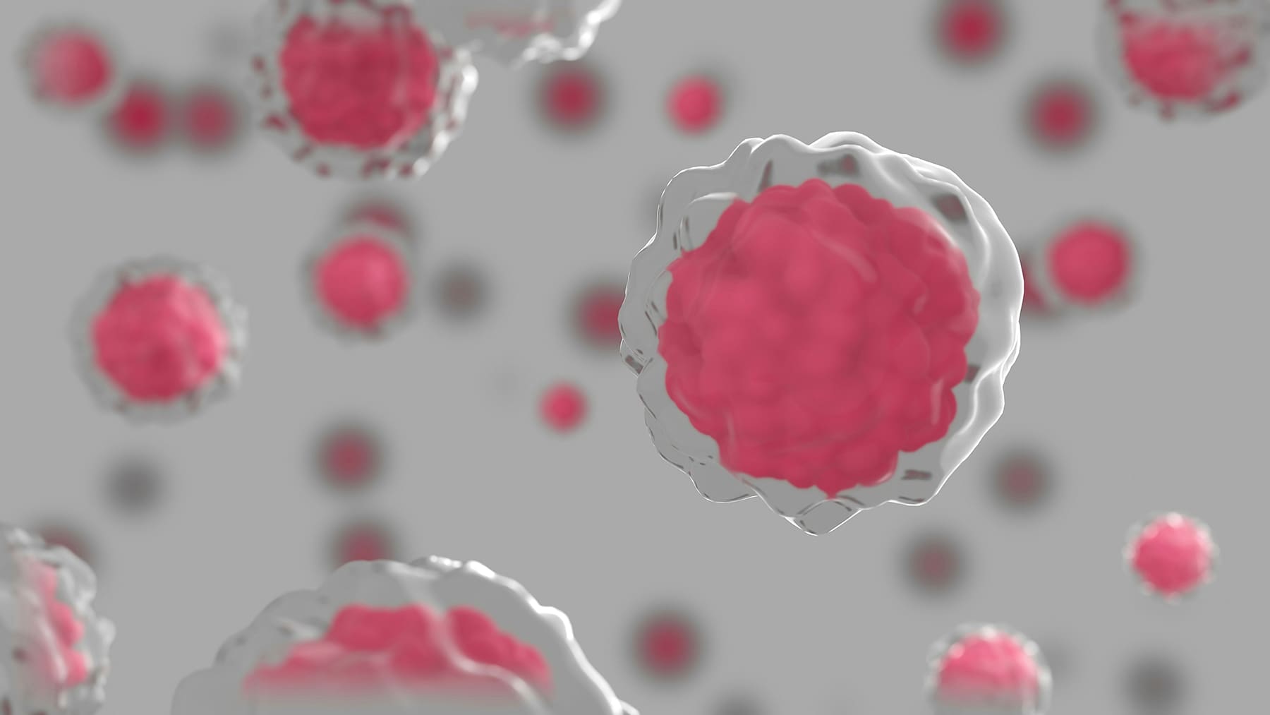 What Is NAD+? Understanding the Molecule Behind Energy, Healthy Aging, and Cellular Wellness