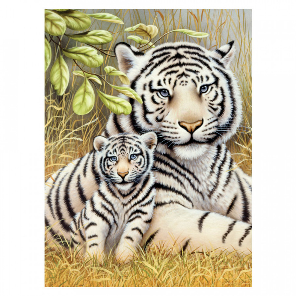 Paint By Numbers - White Tiger Pair