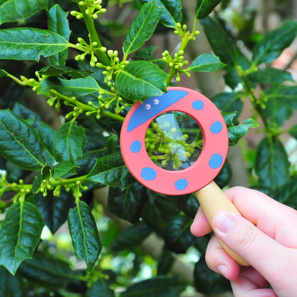 Natural Discovery Magnifying Glass