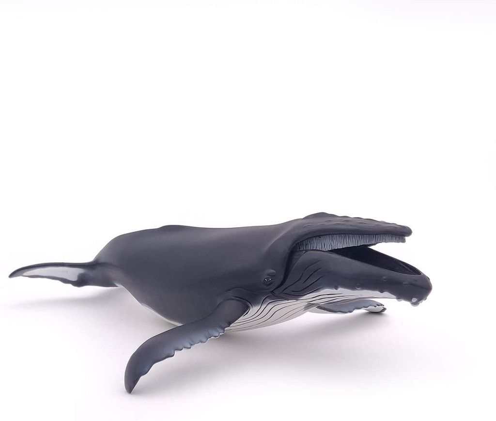 Humpback Whale - Papo