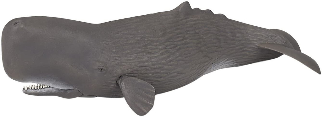 Sperm Whale - Papo