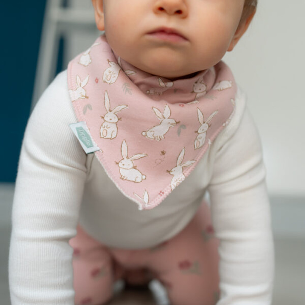 Bunnies On Pink Dribble Bib