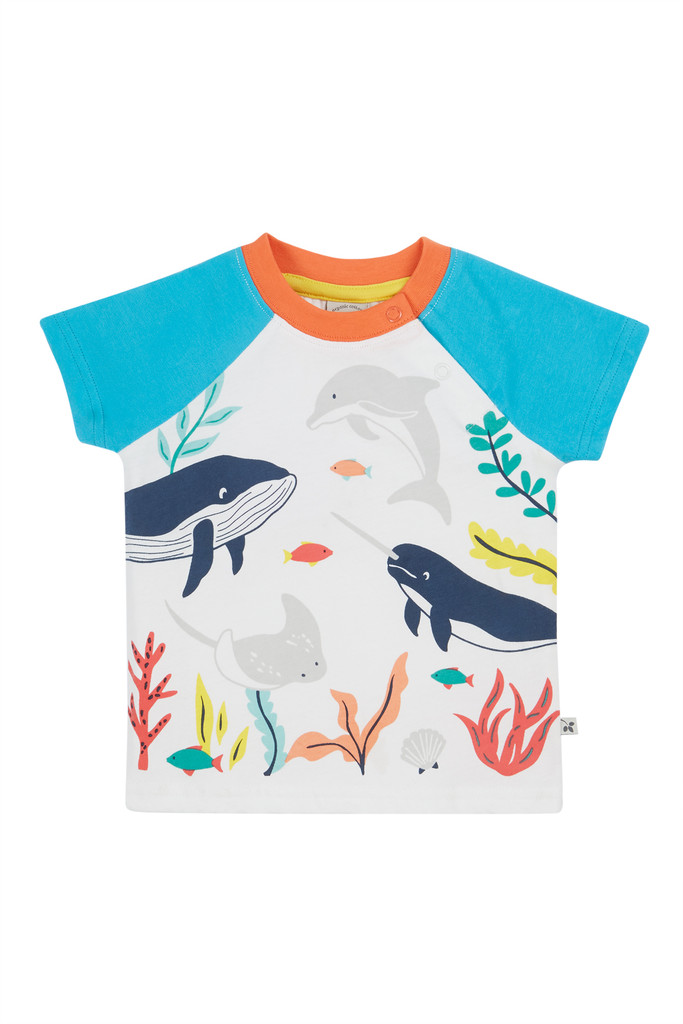 Reid Raglan T-shirt - Soft White/Sea Life Whale