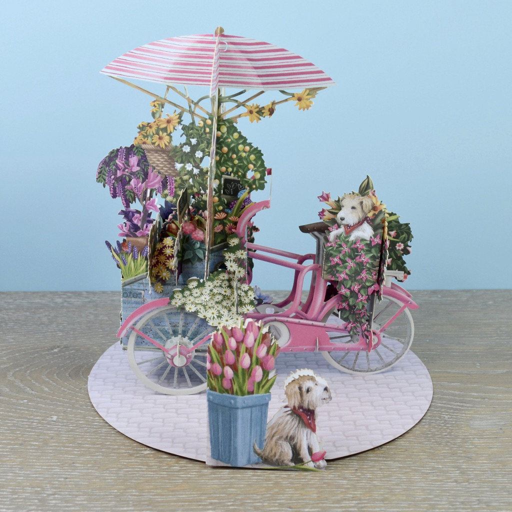 The Flower Seller's Pink Bicycle - 3D Pop Up Greetings Card 3D009