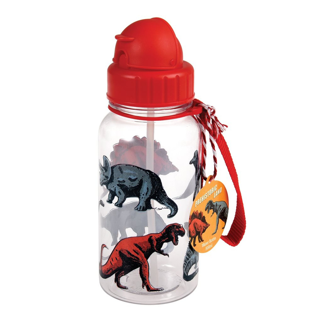 Prehistoric Land Water Bottle 500ml