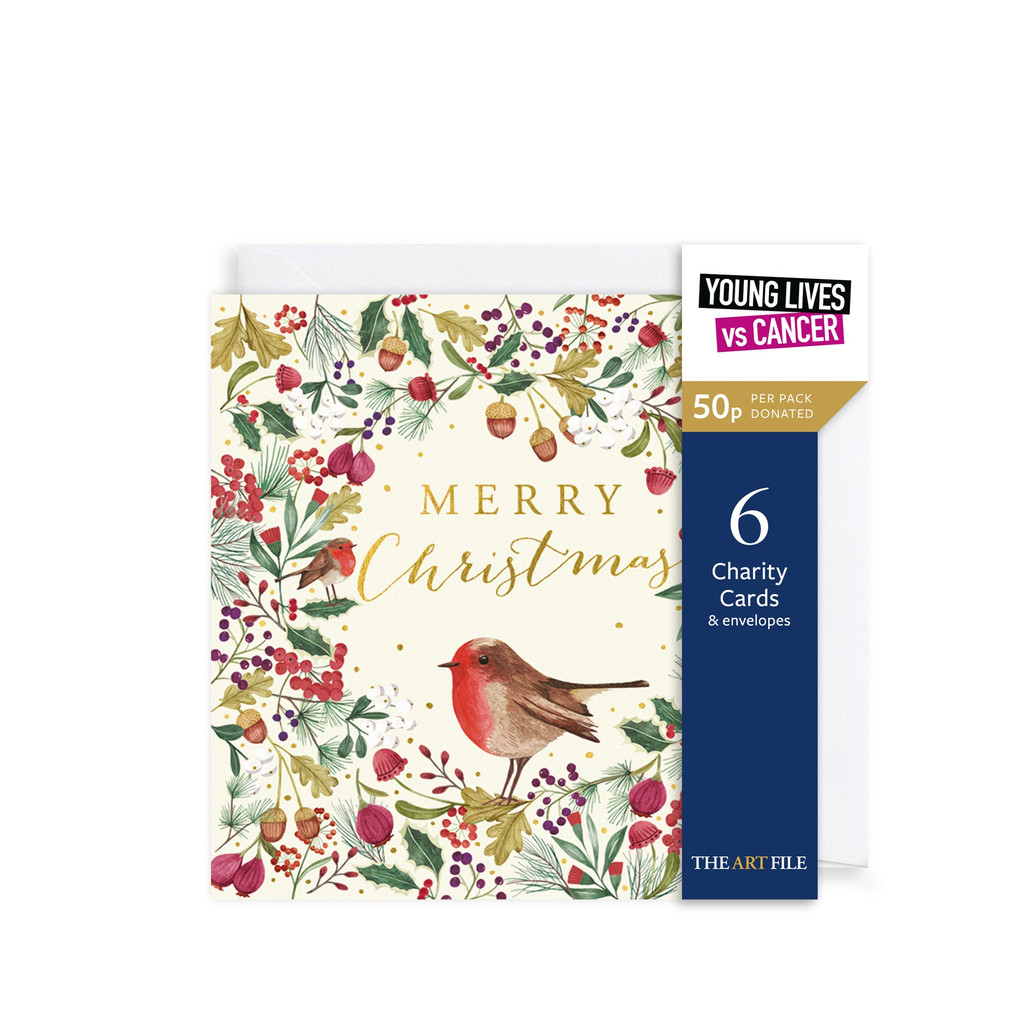 Christmas Robin Charity Cards 6pk XP416A