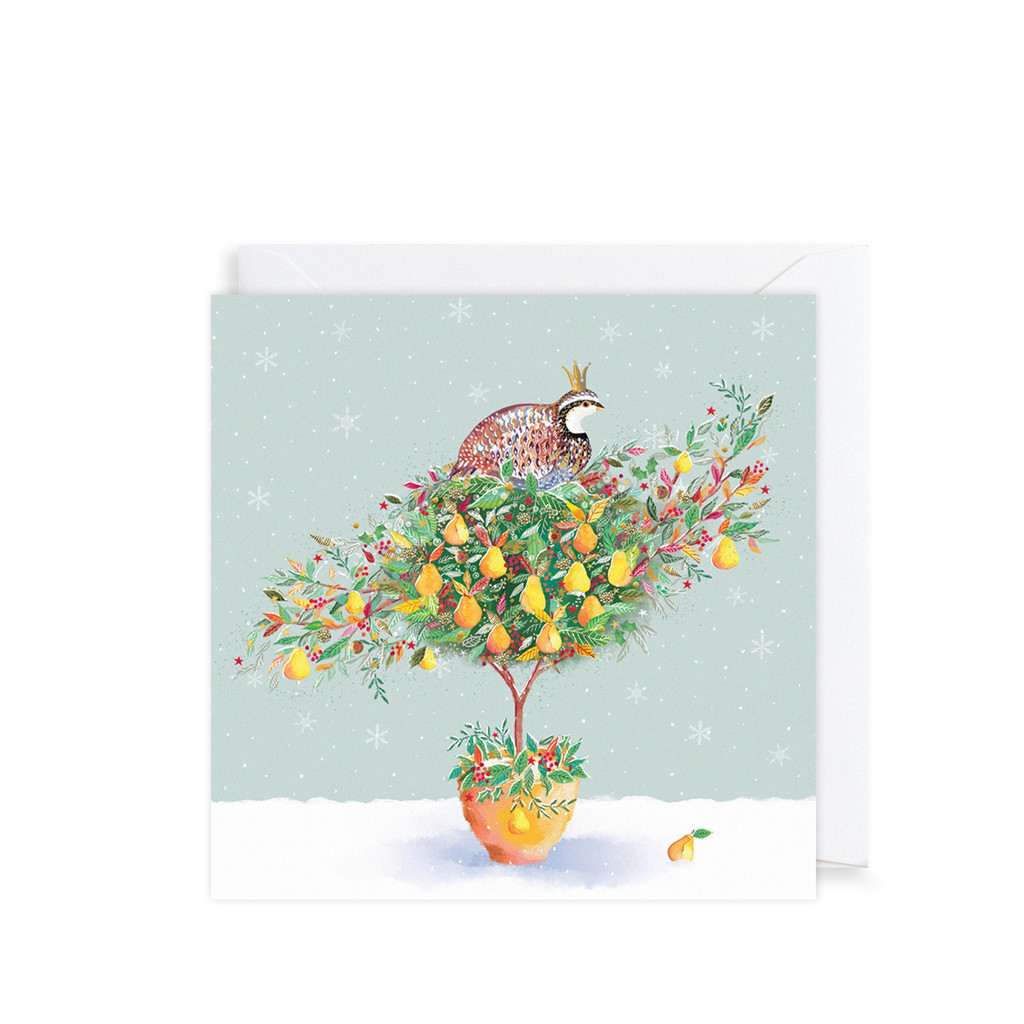 Partridge Christmas Charity Cards 6pk XP423A