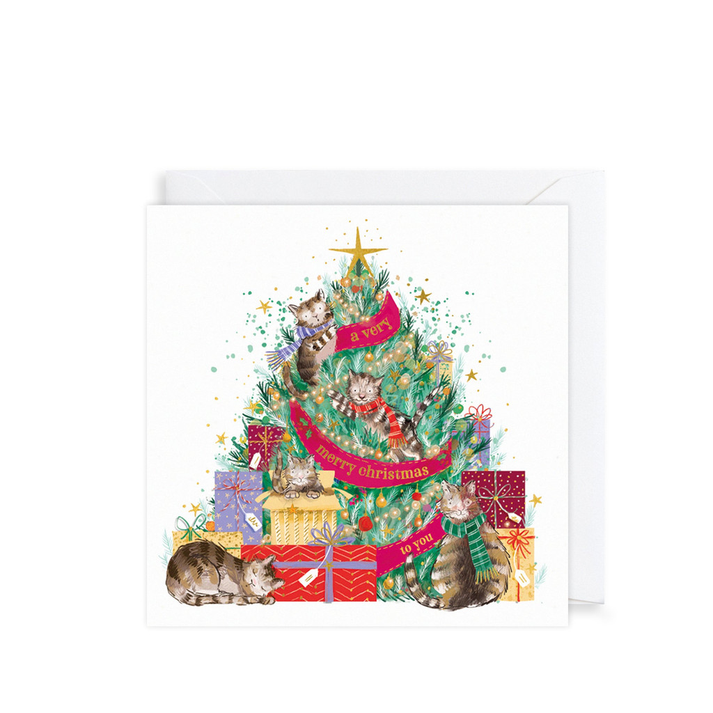 Cats In Christmas Tree Charity Cards 6pk XP429A
