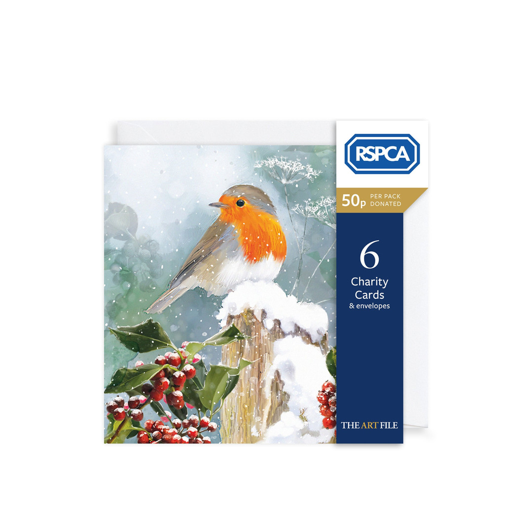 Christmas Robin Charity Cards 6pk XP430A